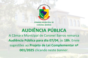 Audiência Pública